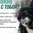 «Можно я с тобой?»: в приюте «Верности» открыли набор на второй поток бесплатного курса по социализации собак с волонтёрами - Ресурсный центр поддержки НКО и гражданских инициатив