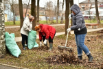В Ярославской области объявлен первый региональный субботник