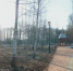 Фото: официальный сайт администрации Ярославля - НИА-Волга