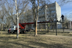 ​Михаил Евраев принял участие в первом общерегиональном субботнике
