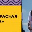Благотворительный фонд «Память поколений» приглашает к участию в акции «Красная гвоздика 2026» - Министерство молодежной политики