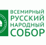 А.В. ЩИПКОВ: ПРОЕКТ ВРНС «ОБРАЗОВАНИЕ» ЯВЛЯЕТСЯ СОЦИАЛЬНЫМ ЛИФТОМ ДЛЯ РЕБЯТ ИЗ МНОГОДЕТНЫХ И МАЛООБЕСПЕЧЕННЫХ СЕМЕЙ В РЕГИОНАХ - Ярославская епархия