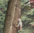 You are viewing the image with filename 2.jpg - Ярославская ГСХА