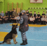 JPG Файл - УМВД Ярославской области
