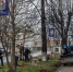В ярославском филиале «Россети Центр» прошел день весеннего благоустройства - Ярославский регион