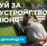 Жители Ярославской области могут проголосовать за объекты благоустройства - Ярославский регион