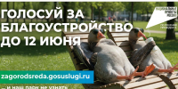 Жители Ярославской области могут проголосовать за объекты благоустройства - Ярославский регион