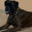 You are viewing the image with filename 22.jpg - Ярославская ГСХА
