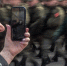 Получить соцпакет на мобильную связь смогут граждане России пенсионного возраста | Источник: Михаил Огнев / FONTANKA.RU - 76.Ru