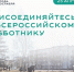Стали известны адреса в Ярославле, где пройдет субботник - Городские новости