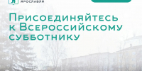 Ярославль присоединится к Всероссийскому субботнику - Мэрия города