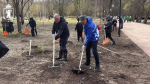 Ярославцы присоединились к Всероссийскому субботнику