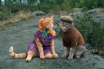 Тренируйся лучше на кошках! Тест для больших любителей советского кино