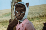 Тренируйся лучше на кошках! Тест для больших любителей советского кино