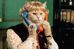 Тренируйся лучше на кошках! Тест для больших любителей советского кино