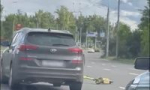 На проспекте Октября в Ярославле столкнулись иномарка и самокатчик