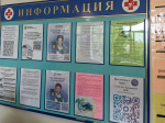 ​Жители Ярославской области воспользовались чат-ботом в «Максе» для записи к врачу и закрытия больничного около 200 тысяч раз